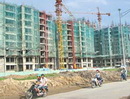 Năm 2009: Tìm lợi nhuận ở đâu?