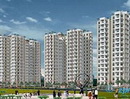 Giá bất động sản TP.HCM và chỉ số giá đất, căn hộ tháng 12/2008