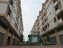 Nhà ở xã hội phải theo cơ chế thị trường