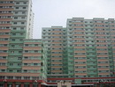 Nỗi khổ tái định cư