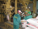 Năm 2009: cơ hội mới cho vốn FDI?