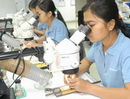 BMI dự báo năm 2009: Việt Nam sẽ “bùng nổ” đầu tư nước ngoài