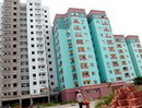 Nhà giá thấp lên ngôi
