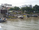 An Giang: Thành phố Long Xuyên hướng tới đô thị loại II