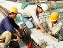 Dự án Đại lộ Đông-Tây vẫn đảm bảo tiến độ