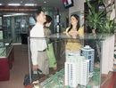Sàn giao dịch bất động sản: Ngủ đông vài năm nữa