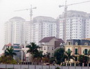 Từ năm 2010: Cấp sổ đỏ qua mạng