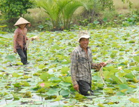 Tăng hỗ trợ khi thu hồi đất: Tháo nút thắt trong giải phóng mặt bằng