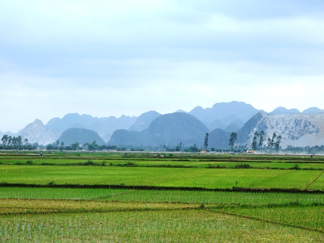  Giá đền bù đất nông nghiệp rẻ bèo