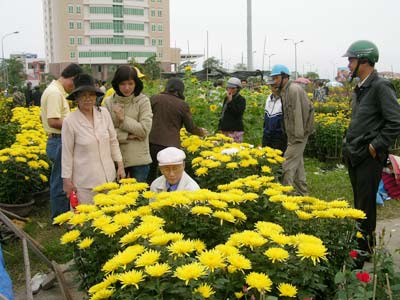 Xuất hiện “cò” cho thuê chỗ bán hoa Tết 