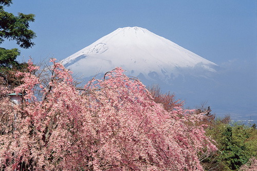 Bốn mùa tuyệt đẹp ở núi Phú Sĩ