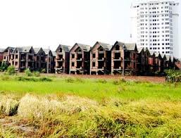 Hạn chế tối đa chuyển đổi đất trồng lúa