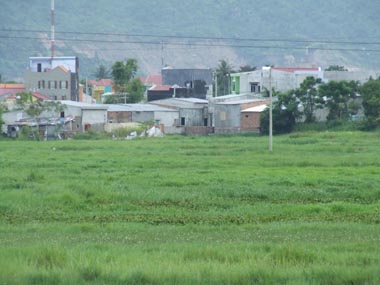 Có hiện tượng “bán chạy” đất nông nghiệp