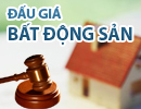 Thông báo bán đấu giá quyền sử dụng đất trồng cây tại xã Bà Điểm, Hóc Môn