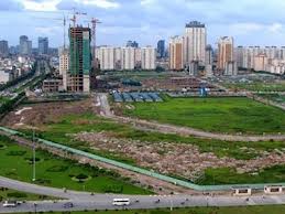 Nên có hội đồng chuyên môn định giá