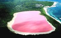 Đẹp ngỡ ngàng hồ hồng ở Úc