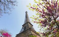 Thủ đô Paris lãng mạn vào Xuân