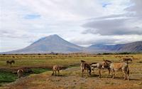Thăm ngọn núi lửa 'lành' nhất thế giới ở Tanzania