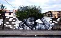 Khi street-art “tác hợp” với tự nhiên