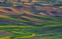 Mê mẩn thung lũng Palouse