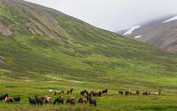 Ngắm cảnh hoang sơ và hùng vĩ của xứ sở Iceland