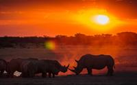 Đẹp hoang sơ thiên nhiên Nam Phi - Botswana