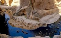 Guelta d' Arche – vườn thú tự nhiên giữa lòng sa mạc