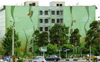 Thú vị nghệ thuật đường phố của Mehdi Ghadvanloo ở Tehran