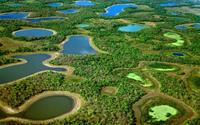 Pantanal – đầm lầy nước ngọt lớn nhất Thế giới