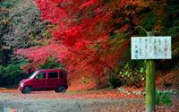 Đẹp diệu kỳ mùa lá đỏ miền Nam Nhật Bản