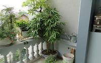 Bí quyết phong thủy giúp bạn tìm được việc ưng ý