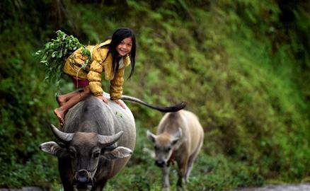 Vẻ đẹp của đất và người Hoàng Su Phì