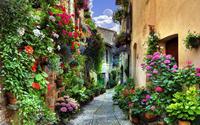 Những căn nhà tuyệt đẹp ở các ngôi làng được phủ đầy hoa khắp lối đi