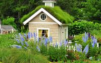 Những ngôi nhà nhỏ giữa vườn sẽ khiến bạn thích ngay từ cái nhìn đầu tiên