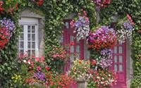 Muôn kiểu cửa nhà có hoa khiến ai ai đi qua cũng phải ngoái nhìn