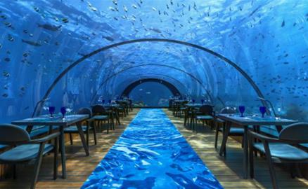 Bên trong nhà hàng kính dưới nước lớn nhất thế giới