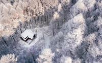 Mùa đông tuyết trắng như cổ tích ở Nhật Bản