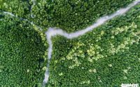 Ngắm khu dự trữ sinh quyển thế giới Mũi Cà Mau từ trên cao