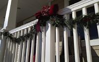 Sử dụng cây xanh trong nhà để trang trí Noel, cách làm mới mẻ nhưng hiệu quả bất ngờ