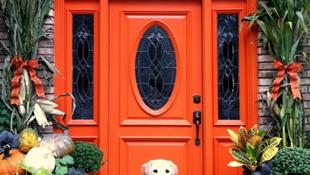 Cánh cửa màu đậm – điểm nhấn độc đáo cho ngôi nhà