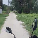 Bán lô đất trồng cây lâu năm (lên được thổ cư) Nhị Bình Hóc Môn