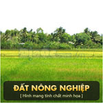 Nhượng quyền sử dụng đất nông nghiệp phường Tân Phú Trung, huyện Củ Chi, TP.HCM. DTSD: 2.448 m2
