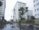 Nhà thu nhập thấp hứa hẹn chỉ 8 triệu đồng/m2
