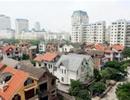 "Sóng" cổ phiếu bất động sản, vì sao?