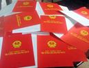 Ở nhờ... trong chính ngôi nhà của mình