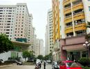 Cứu hay không cứu?