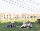 Ngày đầu cấp sổ đỏ cho Việt kiều