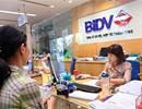 BIDV sốt ruột về Công ty tái cho vay thế chấp nhà ở Quốc gia