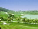 Xóa sổ 76 sân golf, thu hồi trên 15.600 ha đất