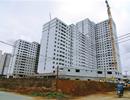 Bội thực nhà tái định cư?